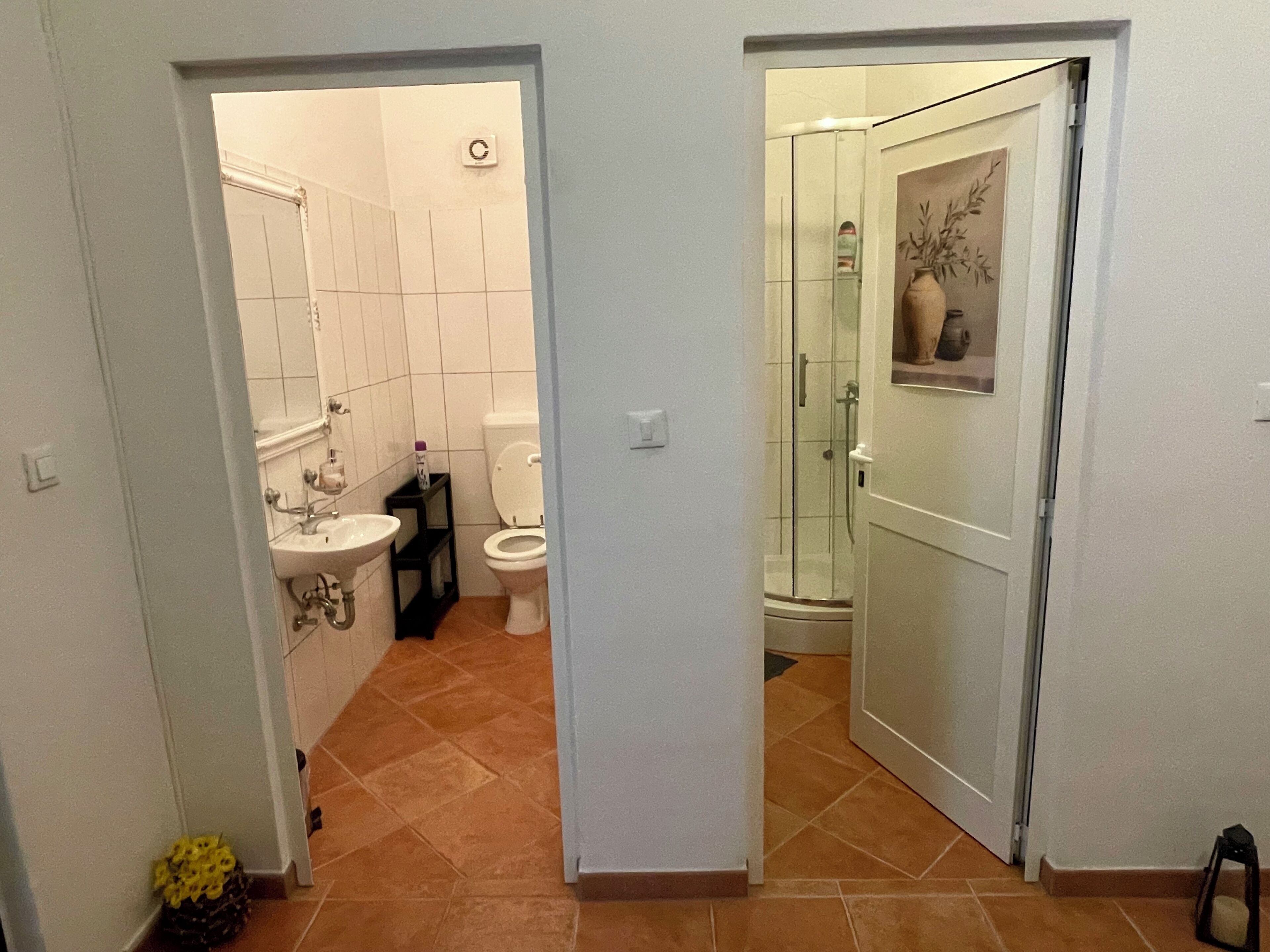 A bathroom with a toilet, sink, and shower.