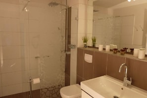 Shower, hair dryer