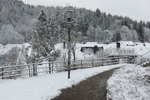 Terrain de l’hébergement 