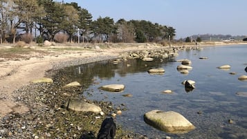 Accommodatie ligt op het strand