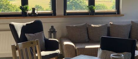 智能电视、壁炉、电子游戏、DVD 播放器