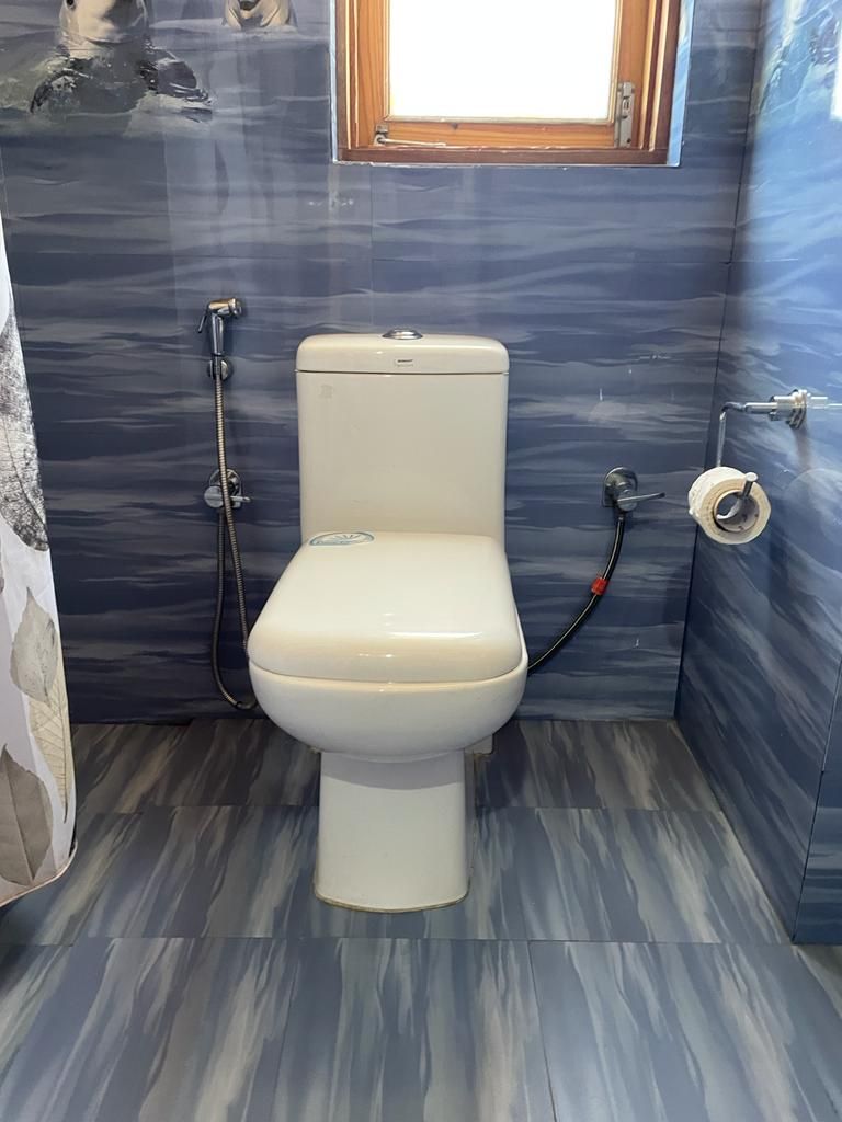 A bathroom with a toilet, a shower, and a window.