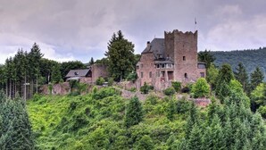 A castle-like building with a prominent tower, surrounded by dense greenery and trees. - Ferienwohnung Kellermeister für 4 Personen in den Ferienwohnungen Bullay, Mosel (Bullay)