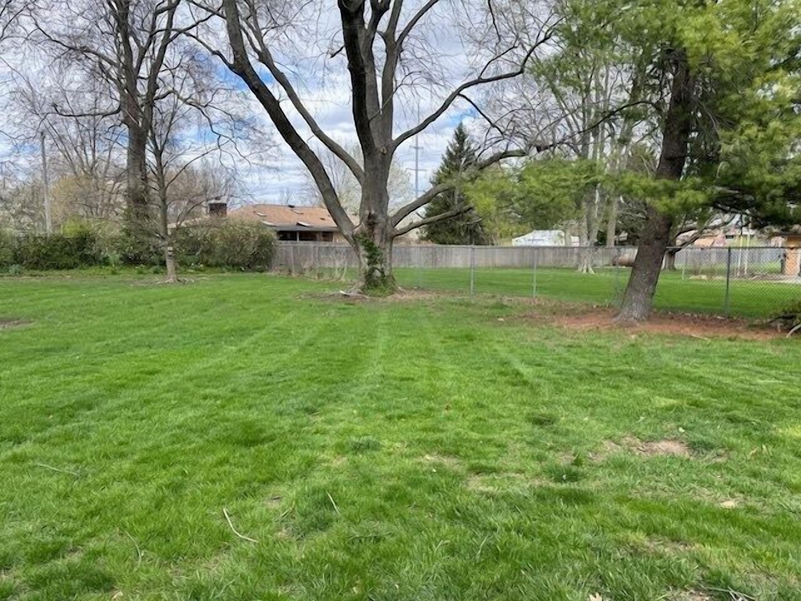 A grassy yard with trees and a fence.