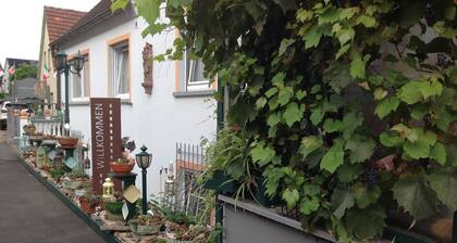 Villa Dominikus - Die Landpension mit Flair!