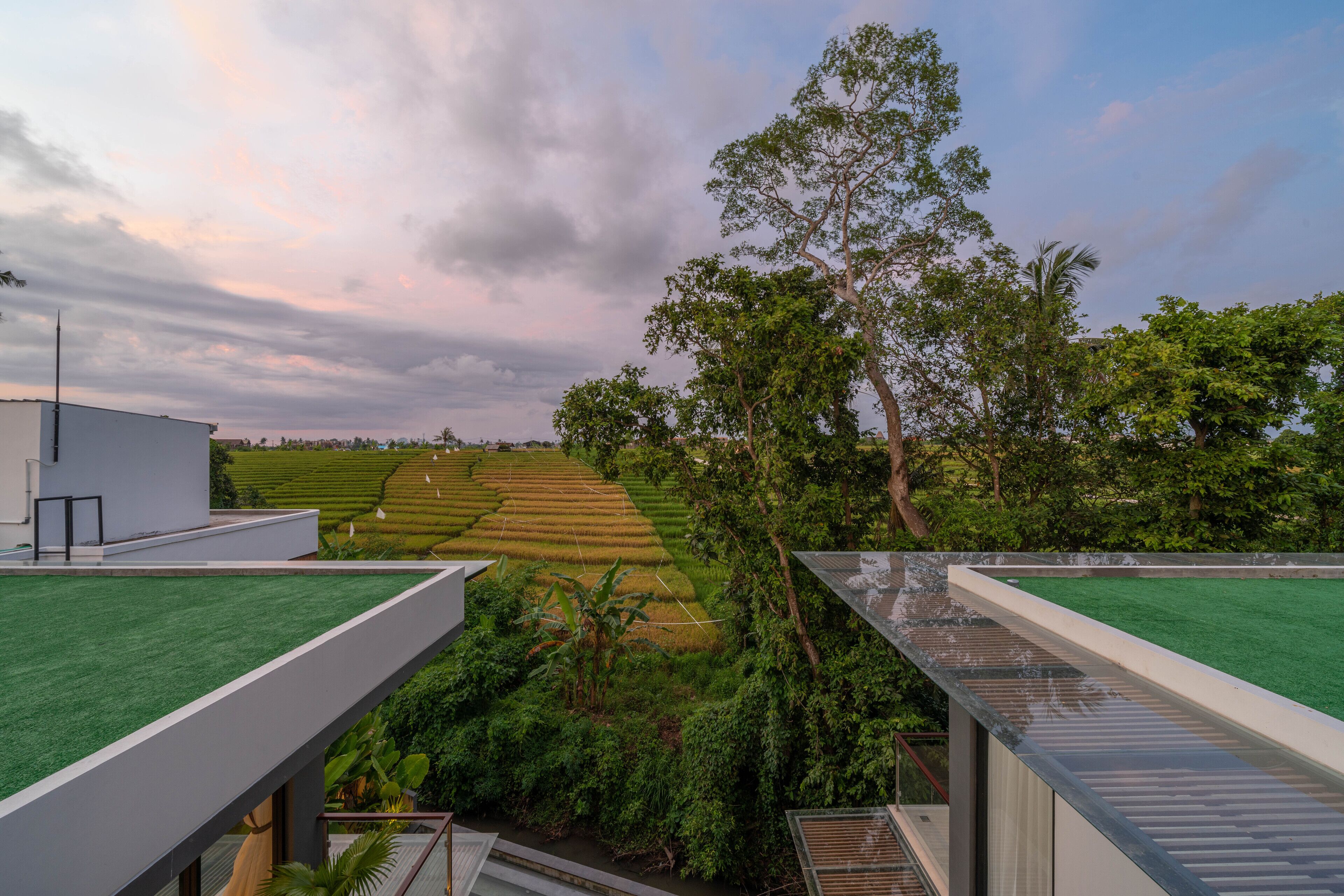 Un edificio moderno con techo plano que da vista a campos escalonados y exuberante vegetación.