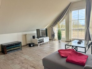 Télévision, lecteur de DVD, chaîne hi-fi