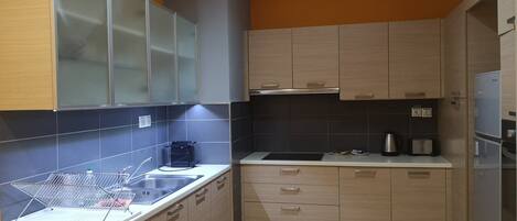 Oven, stovetop, dishwasher
