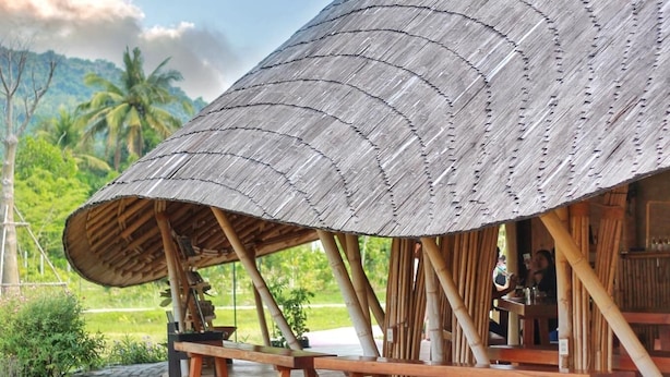 Una cabaña de bambú tradicional con techo curvo, bancos de madera y vista a exuberante follaje y palmeras al fondo.