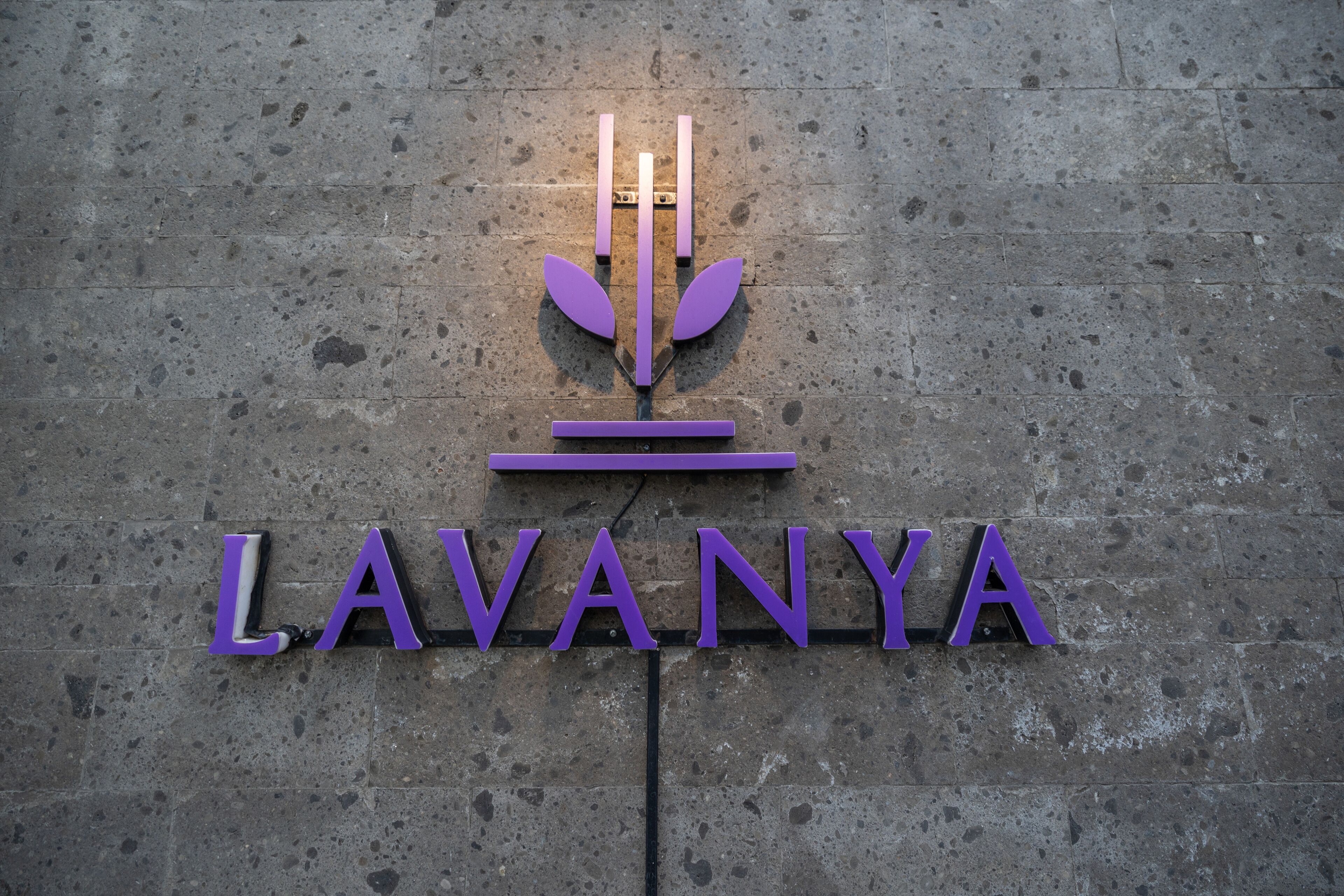 A logo with the word "LAVANYA" on a textured stone wall.