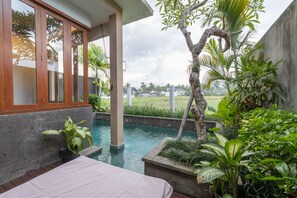 Villa | Private pool