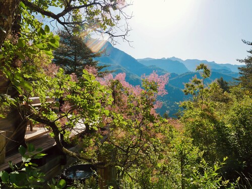 Cabane & spa du Val : Le Séjour Bien-être à 45 Minutes de L'aéroport de Nice