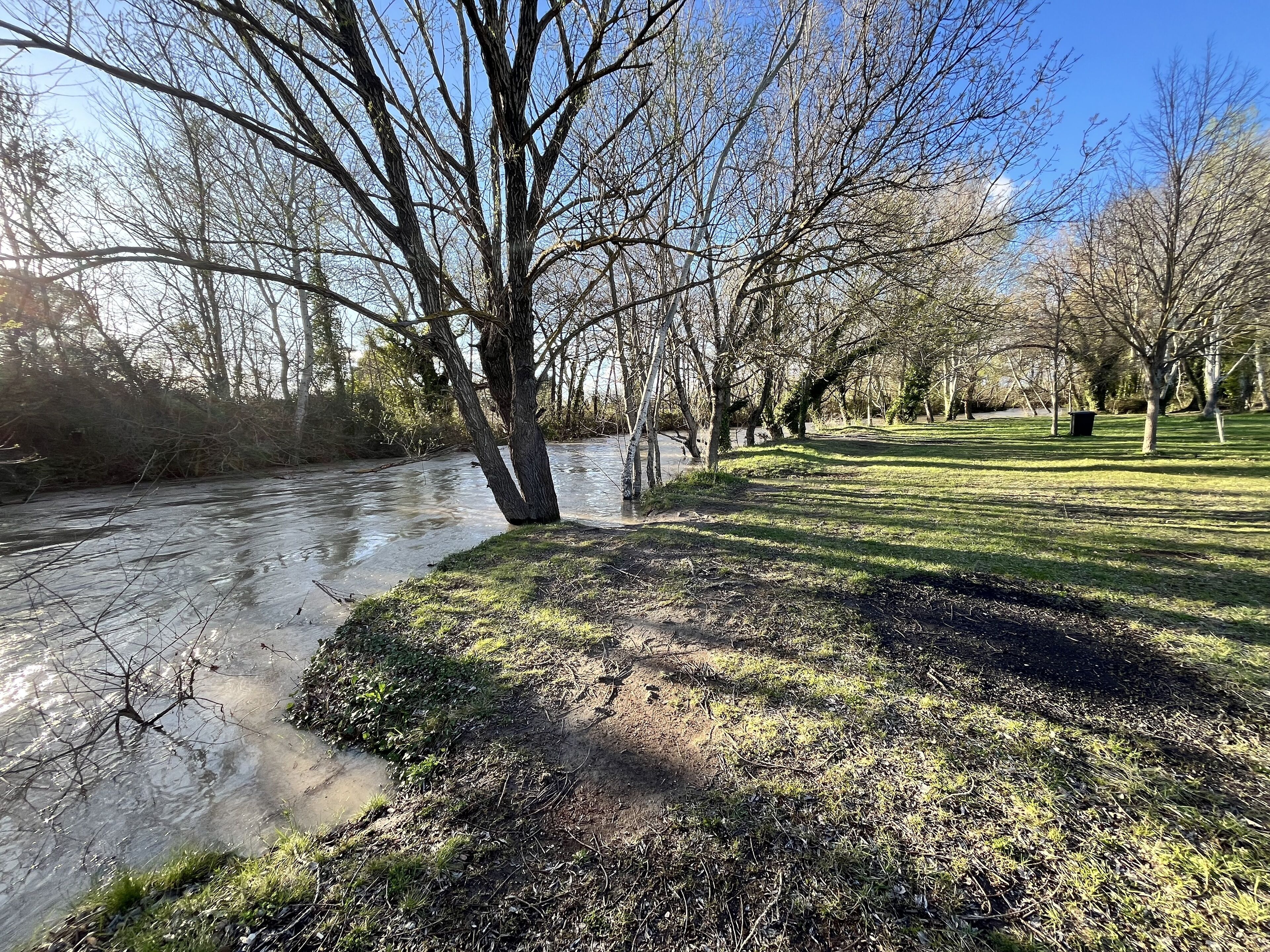 A riverside park with a grassy area, trees, and a clear sky.