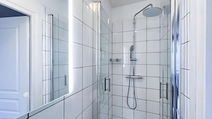 Shower, hair dryer, shampoo, toilet paper