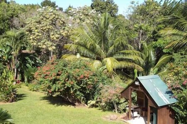 Property grounds - Gite Colibris, Tout Confort, 2 Chambres (Sainte-Rose)