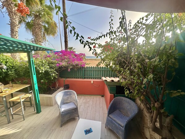 Terrace/patio - Casa Balena
Boutique apartment Ibiscus (Sal)