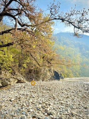 A rocky riverbed with a tire swing hanging from a tree branch.