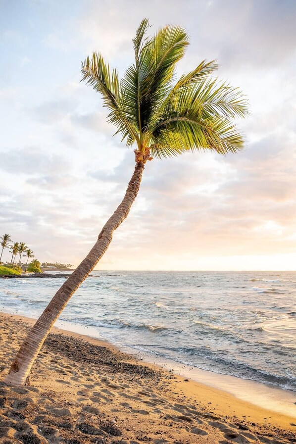 Beach nearby - Island Elegance: Prime Spot (Kailua-Kona)
