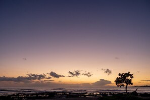 Eine Strandansicht mit der Silhouette eines Baumes vor einem Sonnenuntergangshimmel.