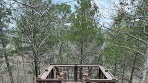 Eine Holztreppe führt zu einer Plattform mit Stühlen, umgeben von Bäumen.