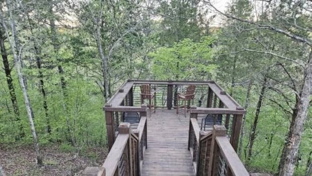 Eine Holzbrücke mit Geländern, die zu einer Plattform inmitten von Bäumen führt.