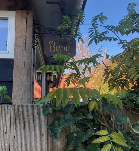 Wellness vacation home "Blue Owl" on the edge of the Veluwe