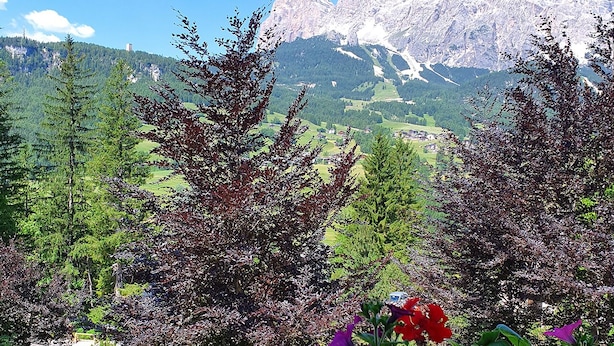 Un balcón con vistas a un paisaje montañoso, una pérgola de madera y flores moradas.