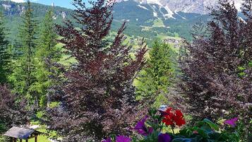 Phòng 3 tiện nghi đơn giản, có phòng tắm riêng (Tofane) | Quang cảnh ban công