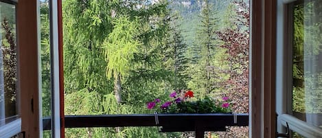 En balkon med udsigt over et skovklædt bjerglandskab.