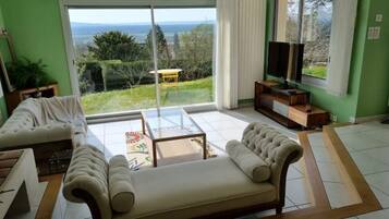 Télévision, cheminée, lecteur de DVD, livres