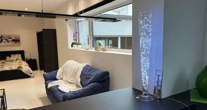 Charmant Logement Contemporain Très Lumineux