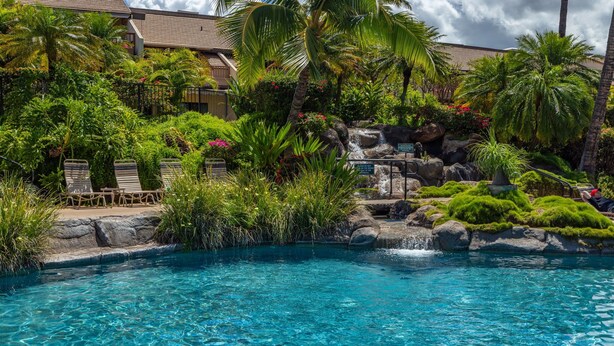 Una piscina con agua azul cristalina, rodeada de exuberante vegetación y palmeras. Hay sillas de descanso a lo largo de la piscina.