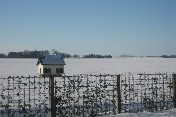 Udsigt fra overnatningsstedet