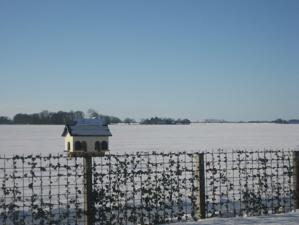 Uitzicht vanuit accommodatie