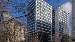 Un edificio moderno de varios pisos con fachada de vidrio, rodeado de árboles sin hojas y coches estacionados.
