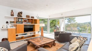 TV connectée, cheminée