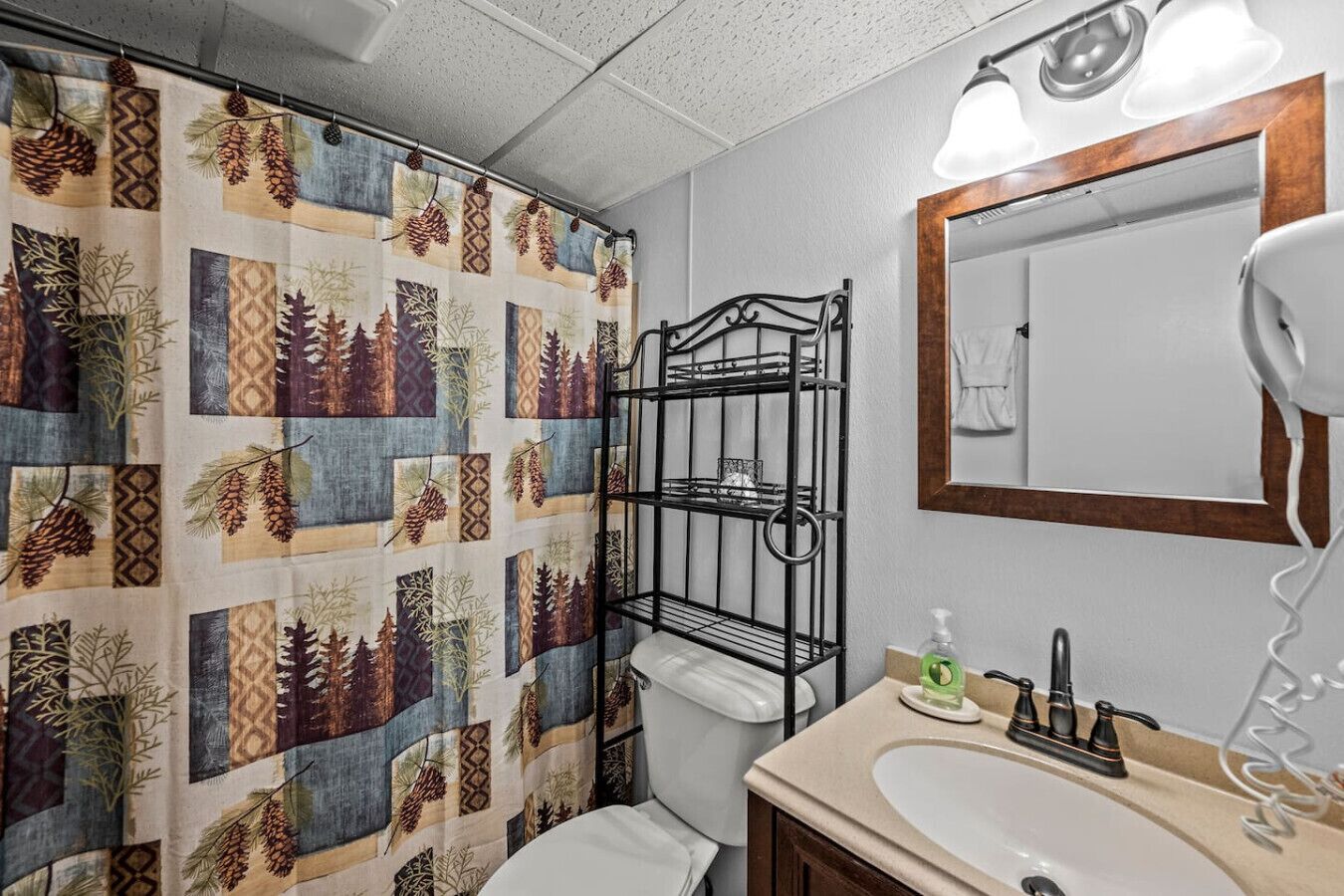 Soap, shampoo, toilet paper