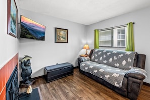 TV, fireplace