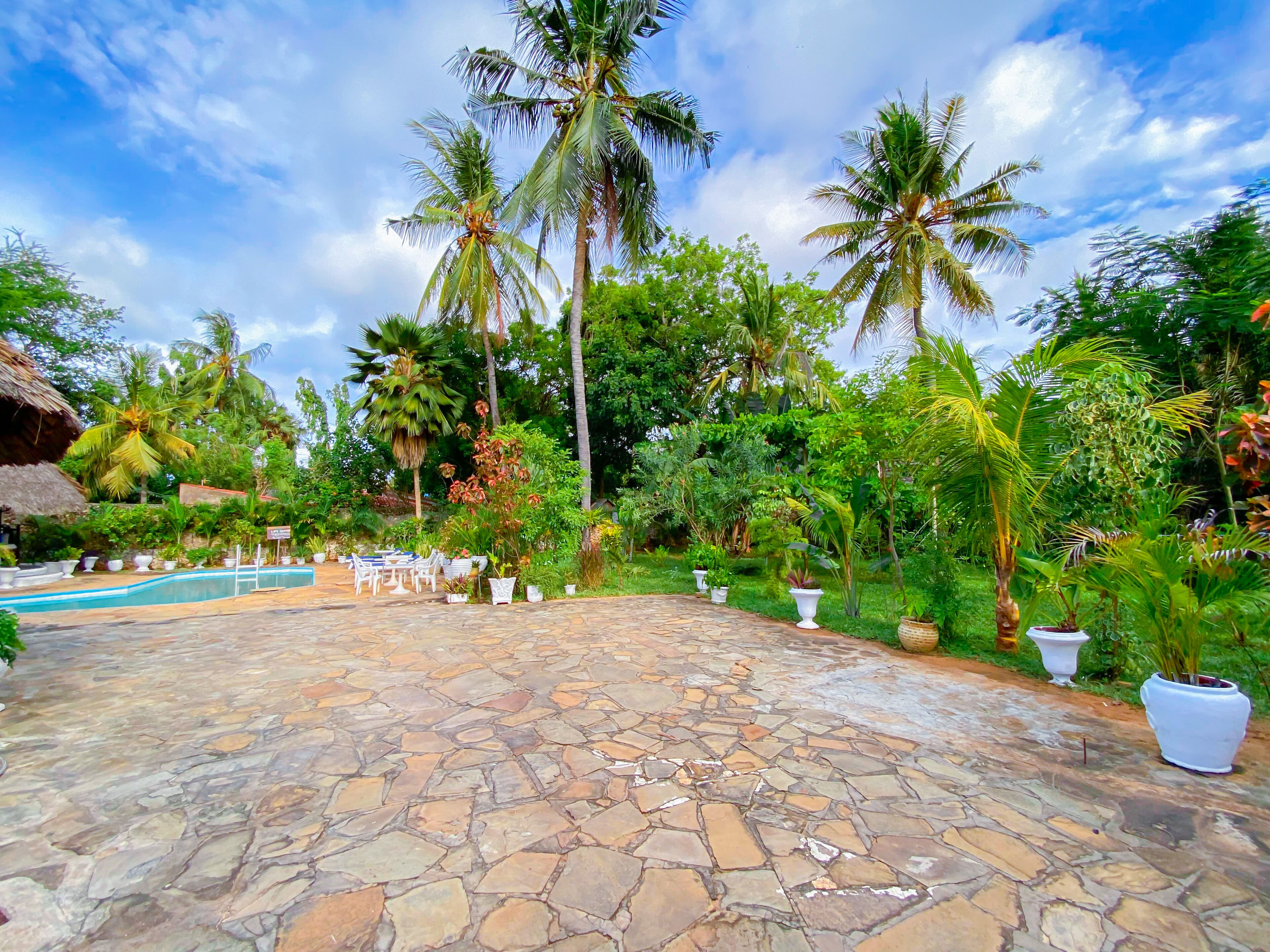 A stone-paved outdoor area with a pool, lounge chairs, and tropical vegetation.