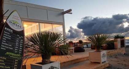 Apartment In The Forest