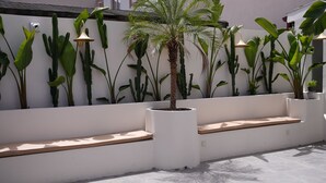 Een witte muur met een kleine palmboom in een plantenpot, omringd door diverse cactussen en grote groene bladeren.
