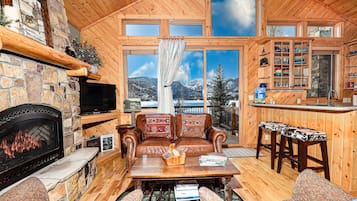 Smart TV, fireplace, books