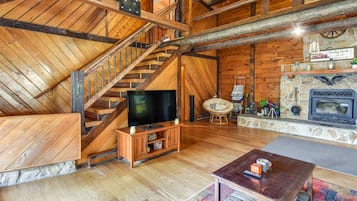 TV, fireplace, books