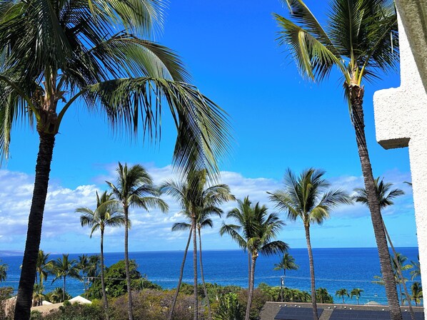 A coastal view with palm trees and a clear blue sky.