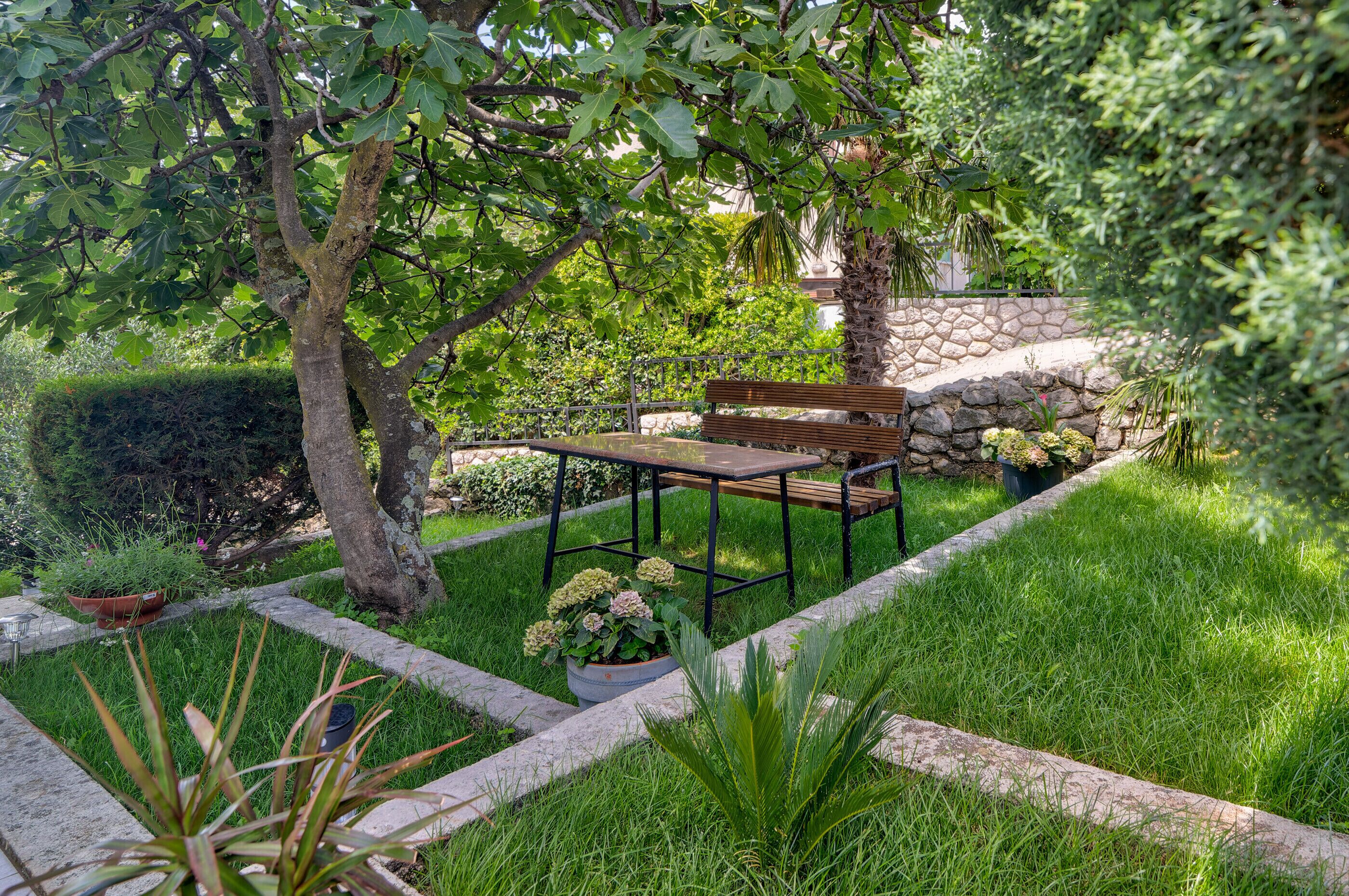 A garden with a bench and table, surrounded by grass and plants.