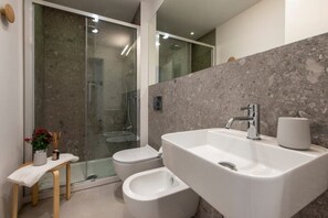 Shower, hair dryer, bathrobes, bidet