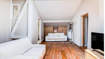 Televisie, een open haard en boeken