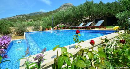 Hidden Gem_Peaceful Bol Getaway - VILLA FANI KANUN