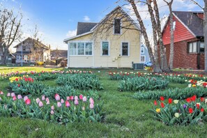Property grounds - Adorable Little Yellow House, Prime Location! Downtown Pella, IA (Pella)