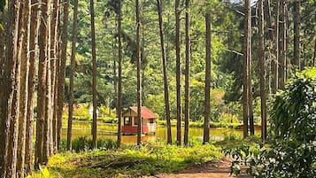 Kawasan hartanah